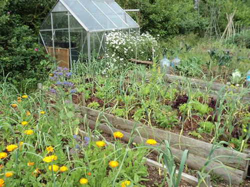 greenhouse-and-uj-beds