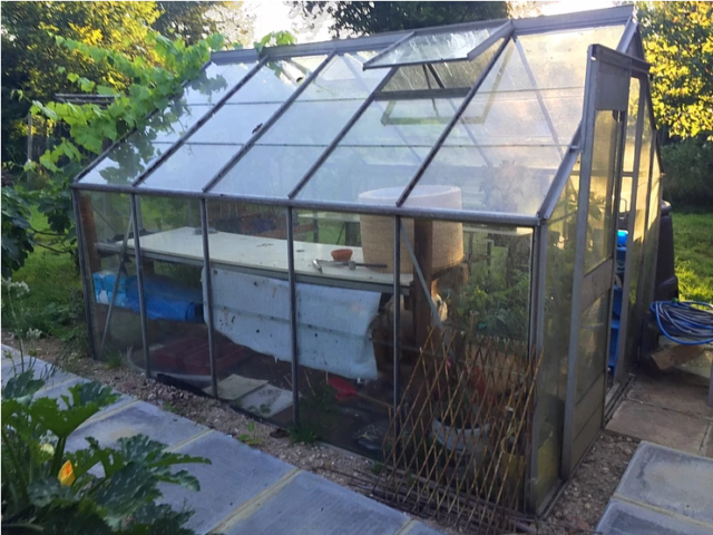 How to build your own aquaponics greenhouse (Part 1)