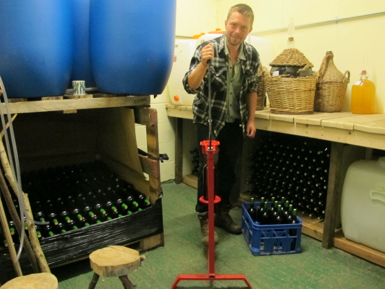 In London and grow grapes? Join a community wine-making scheme!