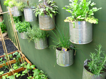 herbs-in-cans