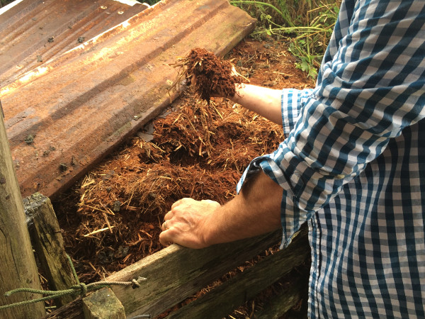 Then what you have is perfect crumbly compost - you'd have no idea of the source.