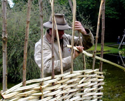 Weaving cleft hazel.