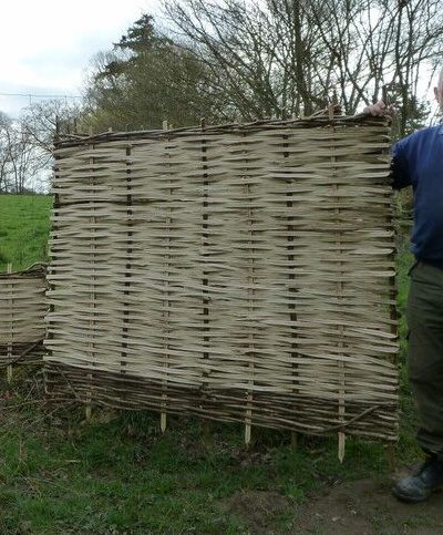 A cleft hazel hurdle.