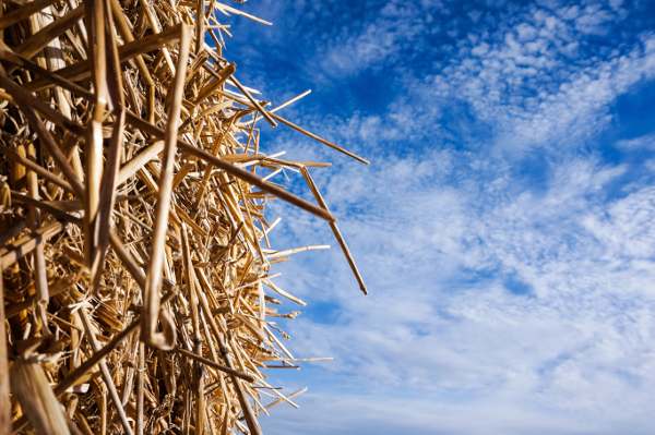 Review: A Complete Guide to Straw Bale Building by Rikki Nitzkin and Maren Termens