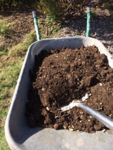 Compost ready to use in the garden