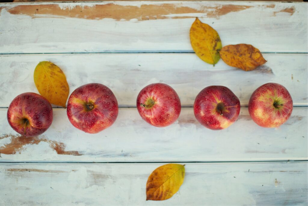 Picture of apples - for making cider vinegar 