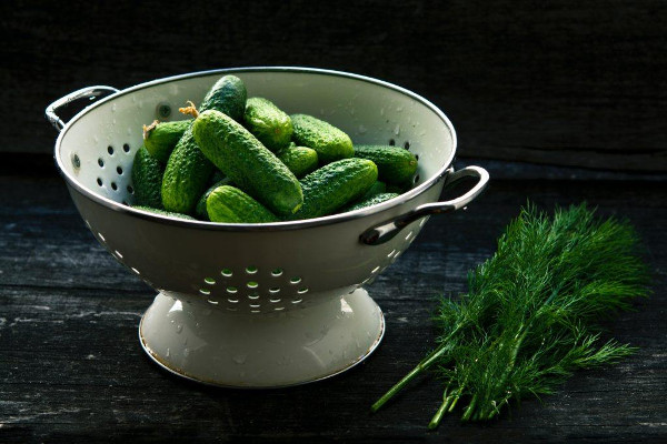 Cucumbers ready for pickling, a traditional food preservation method