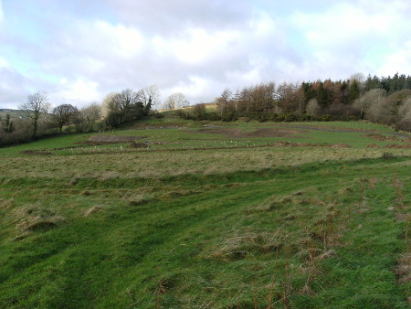 The site of the Lammas Ecovillage