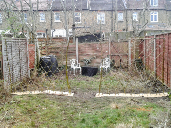Low-impact & the city 6: how we got ourselves a living willow ‘fedge’ (half-fence, half-hedge)