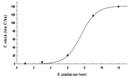 Can burning biomass be sustainable?