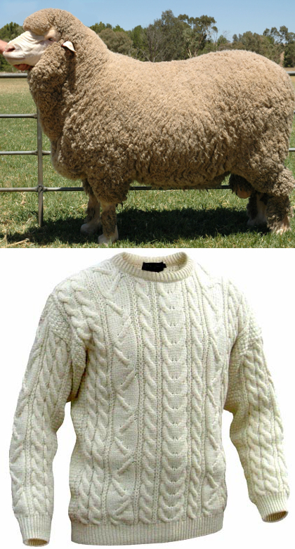 merino-sheep-jumper