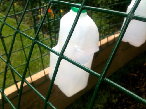 milk bottle feeders