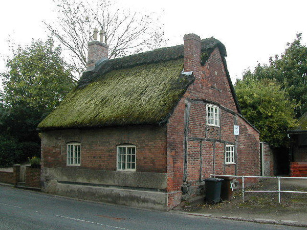 Should I remove moss from my roof?