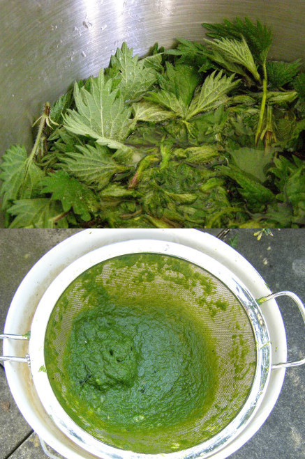 Papermaking with nettles