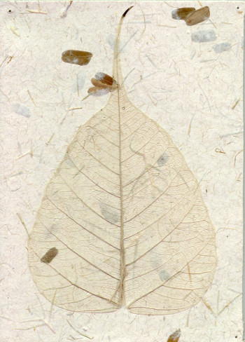 Papermaking with leaves