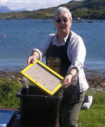 Papermaking with seaweed