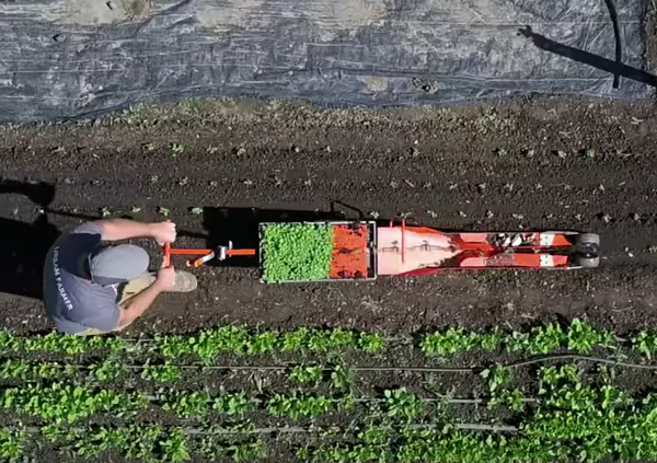 Could the ‘paperpot transplanter’ be a boon for small farmers or is it just a gimmick?