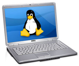 A laptop without Windows could be run by free open source Linux instead