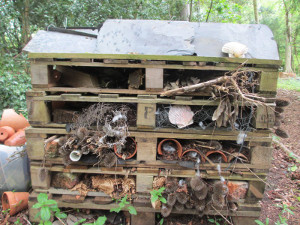 bug hotel