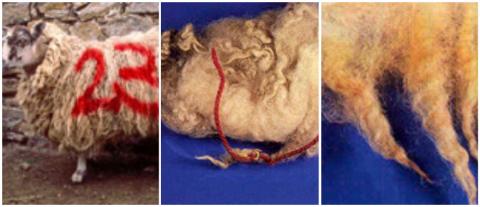 Examples of graffitied, corded and dyed fleeces