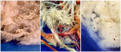 Examples of fleeces contaminated by vegetation and dirt