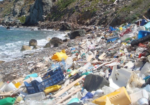 More plastic than fish in the oceans by 2050? Could you give up plastic?