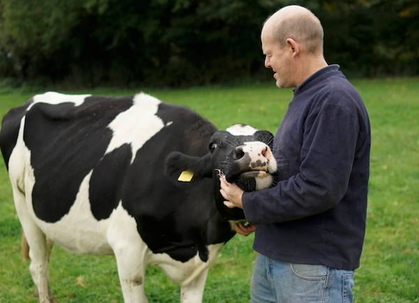 Where do you stand on raw milk? Interview with ‘raw’ dairy farmer