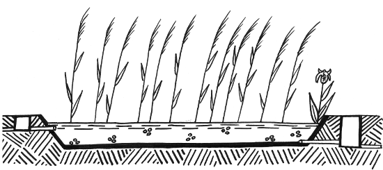 reed-beds-horizontal-flow
