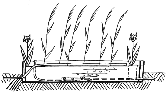 reed-beds-vertical-flow