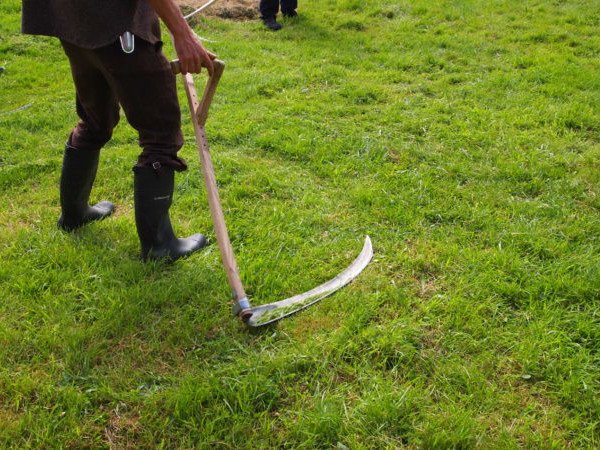 Using a scythe to cut your lawn, not a lawn-mower: Part 3 – technique
