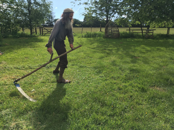 Using a scythe to cut your lawn not a lawn mower Part 1 the grass