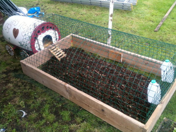 How to make a chicken coop from a repurposed plastic barrel