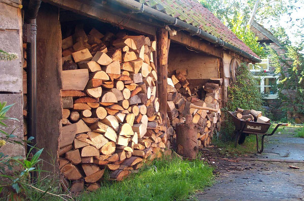 The pros and cons of burning different types of wood for heating
