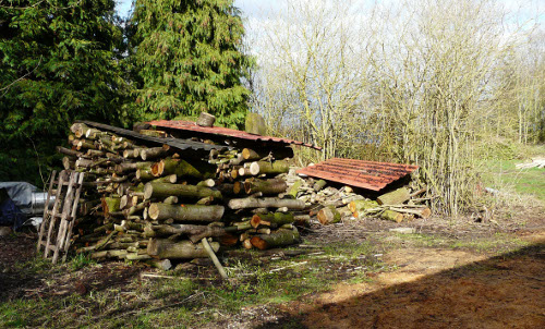 Home-grown firewood is part of Andy's practice of self-reliance for secure off-grid living