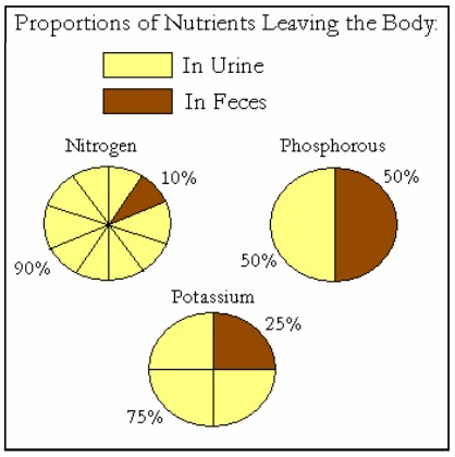 sewage-nutrients-urine