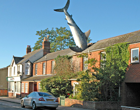 shark-house