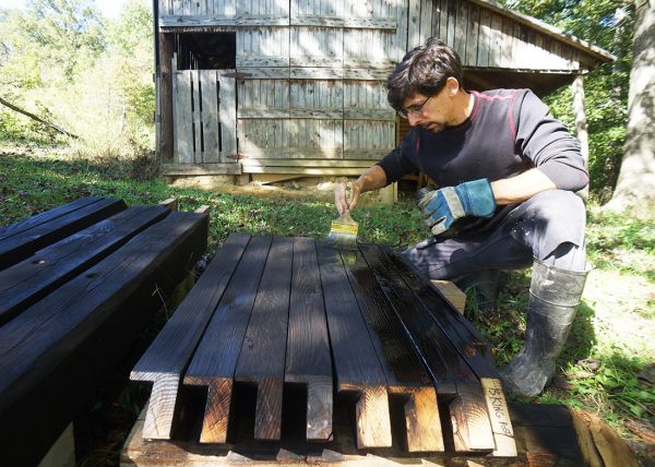 Ziggy oiling the charred wood