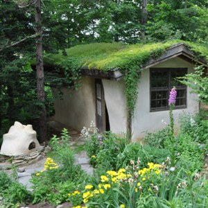 A flourishing green roof built by Sigi Koko