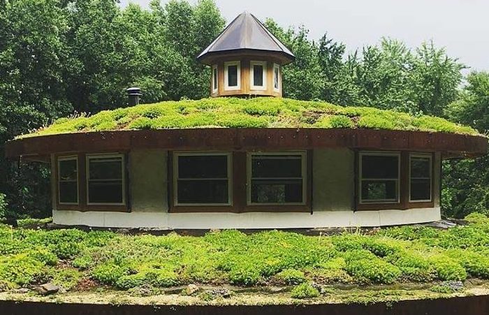 How to build a low-cost, high-performing living green roof
