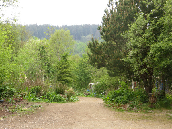 Would you like to become a member of a nature-based permaculture community on the Isle of Skye?