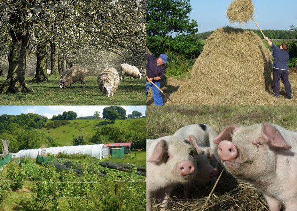  Smallholding representative image