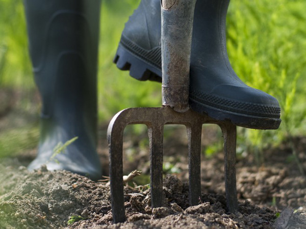  Soil management representative image