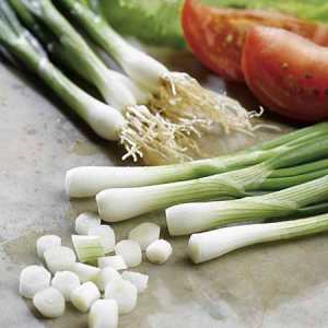 Spring onions are a common crop for a greenhouse in September