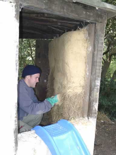 straw-bale-rendering