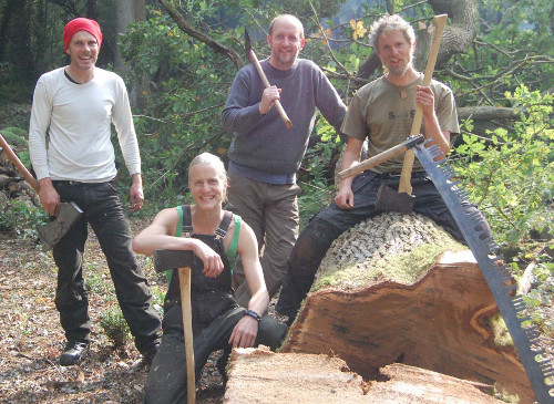 Successful use of felling axes to fell a tree