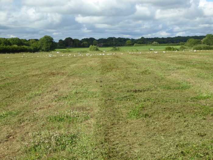 The 7.5 hectare site in Arlington, East Sussex