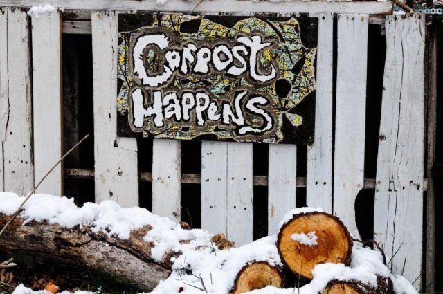 A guide to composting: the fundamentals