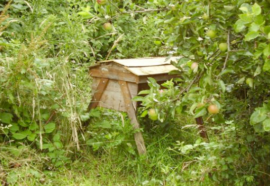 Build your own top bar beehive