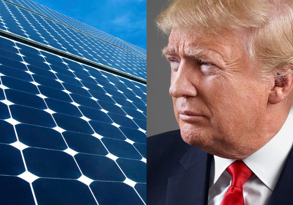 Why does Donald Trump scorn renewable energy when it’s so good for business?