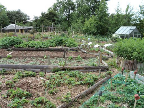 uj-gardens-and-greenhouse